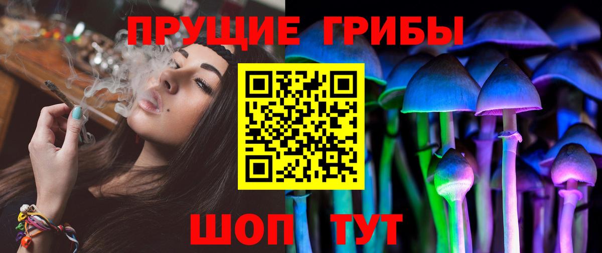 дарнет шоп  Галлюциногенные грибы Psilocybe  Вход с VPN  Орск  Псилоцибиновые грибы мухоморы 